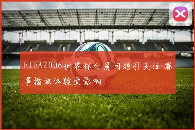 FIFA2006世界杯白屏问题引关注 赛事播放体验受影响