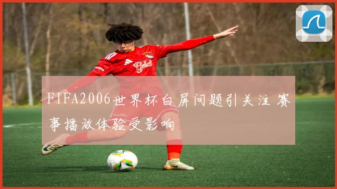 FIFA2006世界杯白屏问题引关注 赛事播放体验受影响