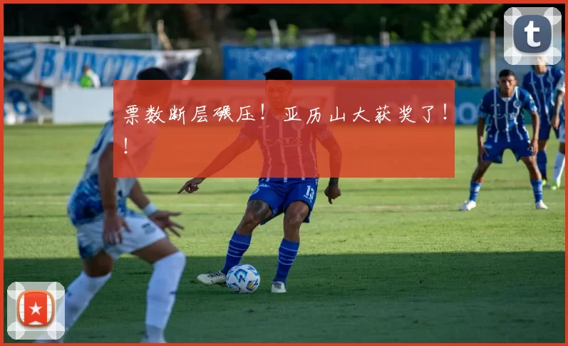 票数断层碾压！亚历山大获奖了！！