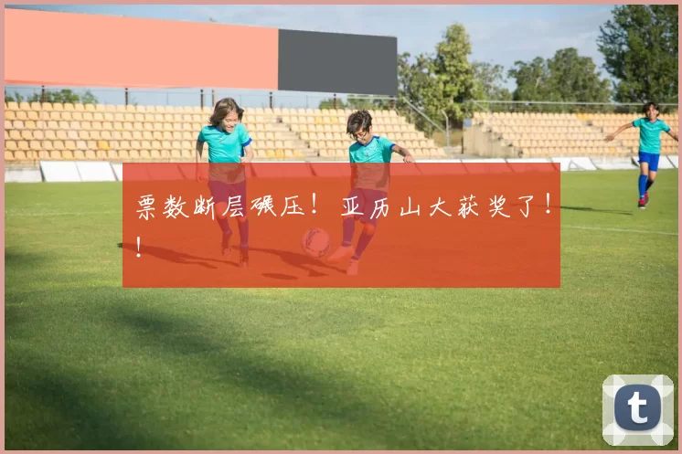 票数断层碾压！亚历山大获奖了！！